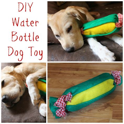 The toy market growth globally has been propelled by a number of factors among them the development of economics in regions such as latin america, apac, africa, middle east, increasing 5. Easy DIY Dog Toys Ideas Tutorials