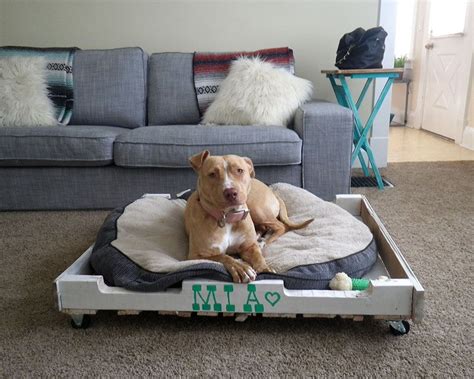40 Diy Pallet Dog Bed Ideas Dont Know Which I Love More Lit Pour