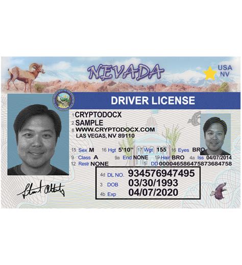 Nevada Drivers License Noveltyenhanced