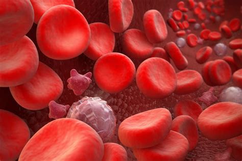 What do you need to know about mononucleosis? Mononucleosi complicanze ematologiche