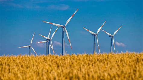 14 Interesting Wind Energy Facts Energy Warden