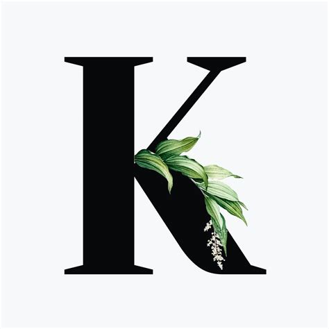 Cowardlion · k alphabet composed with rose leaves isolated on white stock image . Botanical capital letter K vector | free image by rawpixel ...