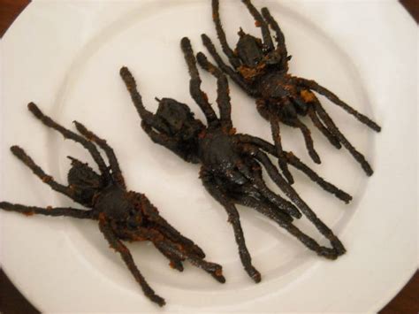 Nice And Juicy 15 Edible African Bugs Demand Africa