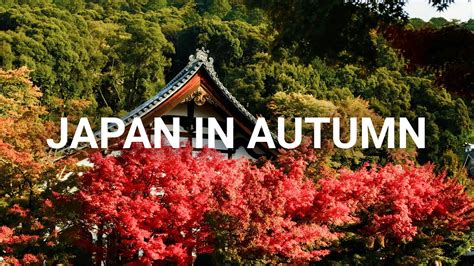 Visiting Japan In Autumn