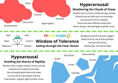 Staying Within Your Window Of Tolerance