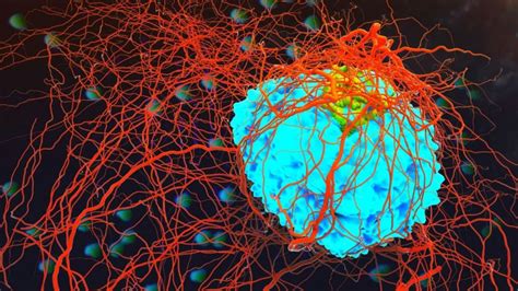 99% for basal cell, 97. Cancer Cells Use Bear-Like Hibernation - Evading Chemo? | IE