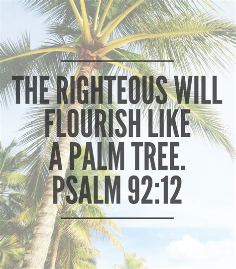 Three Fascinating Facts About Palm Trees That Will Strengthen Your