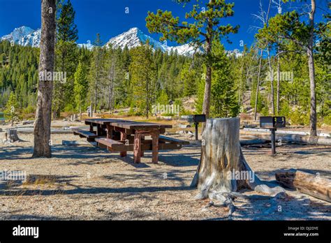 Picnic Tables In Forest Hi Res Stock Photography And Images Alamy