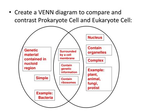 Flowchart Wiring And Diagram Venn Diagram Comparing Prokaryotic And