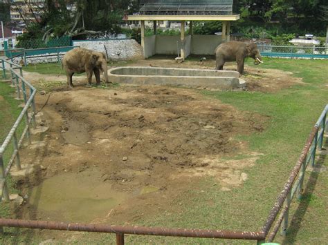 elephant enclosure - ZooChat