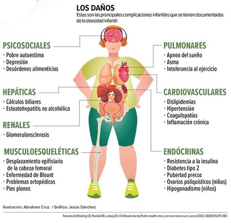Identifica Los órganos Que Son Afectados Por El Sobrepeso Y La Obesidad