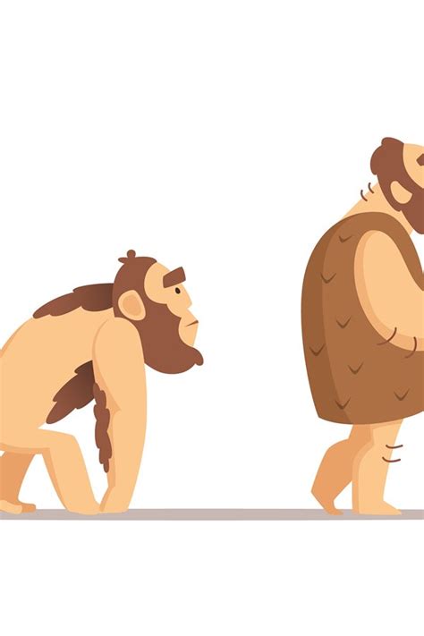 Biology Evolution Of Homo Sapiens Vector Characters In Cart