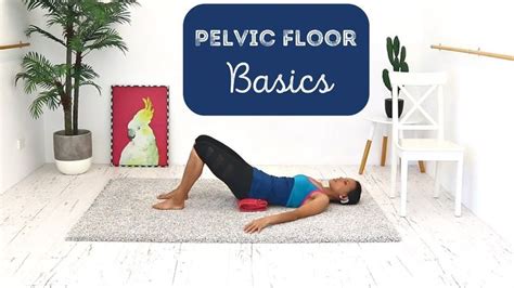 How To Strengthen Your Pelvic Floor BARLATES Pelvic Floor Basics