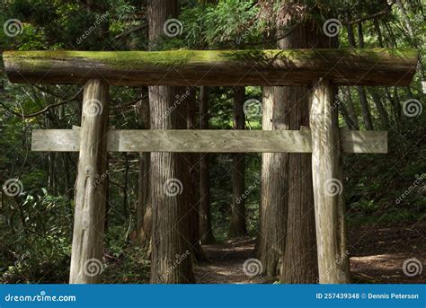 Wooden Torii Gateway The Traditional Japanese Gate At Shinto Shrine