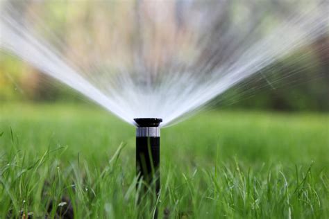 How to irrigate your lawn. Lawn Irrigation - Louie's Nursery & Garden Center Riverside CA