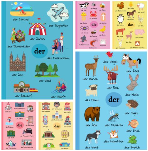 Derdiedas Notebook In 2021 Learn German German Learning German