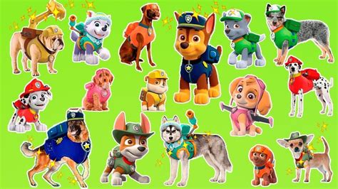 What Are The Dog Names On Paw Patrol Pets Lovers