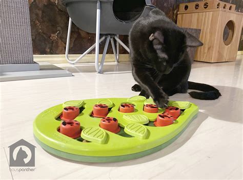 Ychj cat feeder puzzle toys,interactive treat dispensing kitten toys with tumbler design, circle track with moving balls satisfies kitty's hunting, chasing&exercising needs (magenta). Nina Ottosson Treat Puzzles to Challenge Your Cat