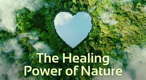 The Healing Power Of Nature Benefits Of Connecting With Earth