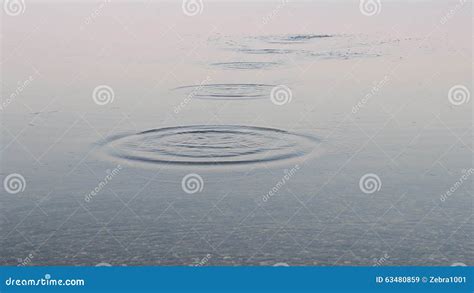 Close Up Of Stone Skipping On Water Surface Stock Video Video Of