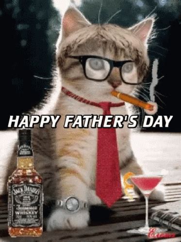 Happy Fathers Day Cat GIF HappyFathersDay Cat OldFashioned Discover Share GIFs Happy