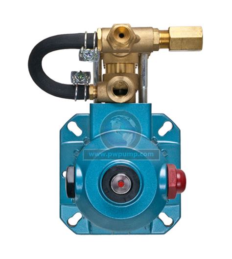 This kit fits all rmv/rmw pumps. CAT Pump 2SFX30GS