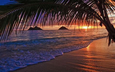 The 25 Best Beaches In Hawaii World Beach Guide