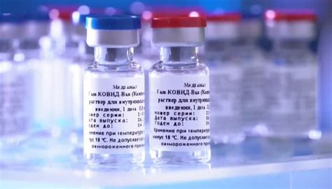 Sputnik v uses a weakened virus to deliver small parts of a pathogen and stimulate an immune response. Sputnik V: World's First COVID-19 Vaccine Now Available to ...