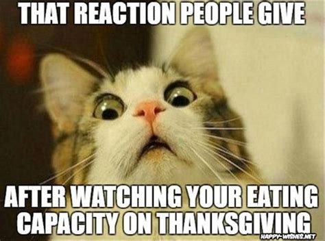 the top 40 funniest thanksgiving memes for 2020 cat birthday memes funny thanksgiving memes