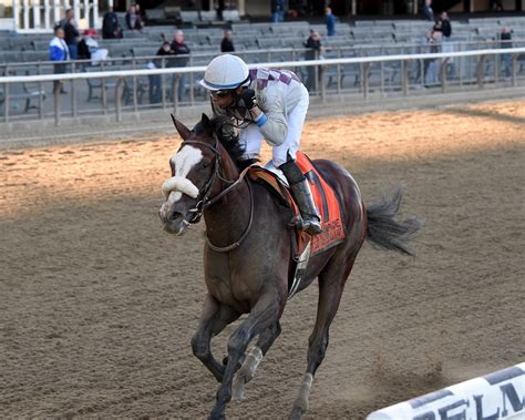 Tiz the Law Brings Funny Cide Owners Back to Churchill | America's Best