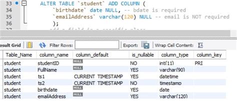 Sql Alter Table How To Add A Column Rename It Or Drop It