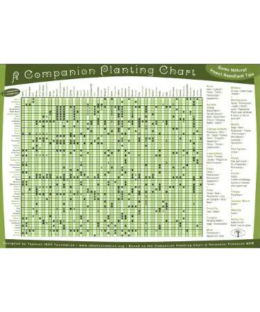 Companion Planting Chart Fillable Printable Pdf And Forms Handypdf My Xxx Hot Girl