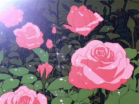 Shining Rose Plant Animation Aesthetic  Flower Aesthetic Aesthetic