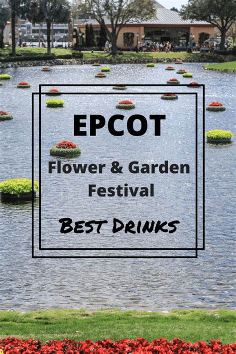 Best Drinks At The Epcot Flower And Garden Festival