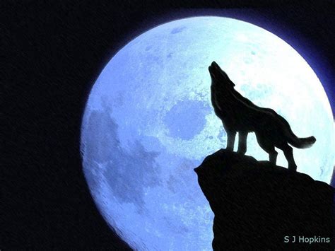 Wolf Howling At The Moon Wallpapers Wallpaper Cave