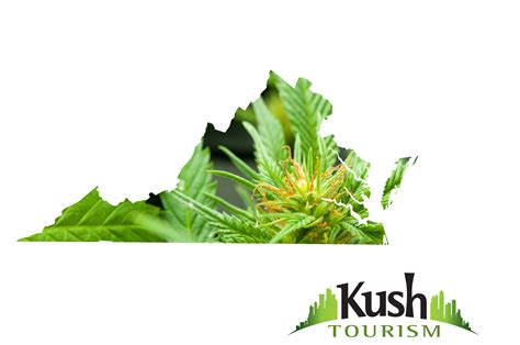 In reality, its use was common in america as a medicine until the passage of the marihuana tax act of 1937 which, although eventually found to be. Virginia Marijuana Information | Kush Tourism