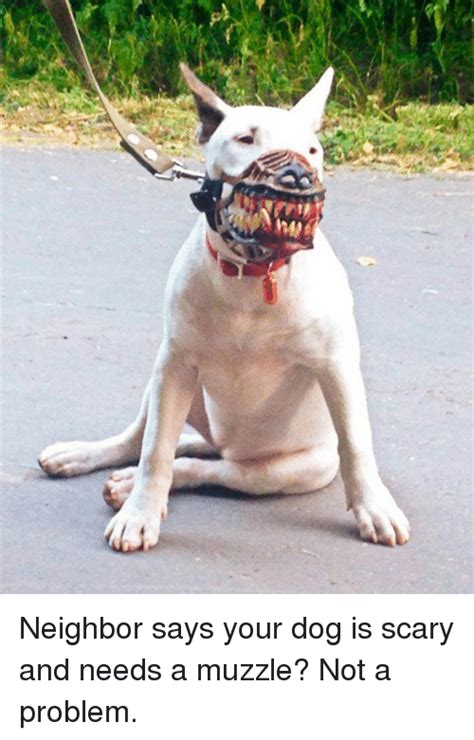 Neighbor Says Your Dog Is Scary And Needs A Muzzle Not A Problem Funny Meme On Sizzle