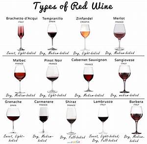 An Easy Wine Guide For Beginners Artofit