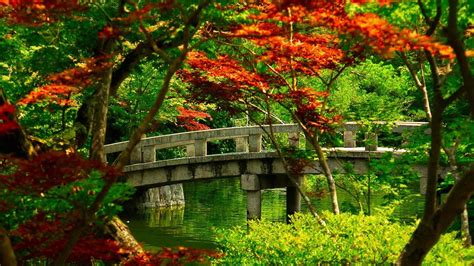 japanese green wallpapers top free japanese green backgrounds wallpaperaccess