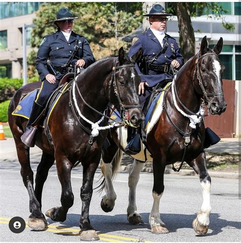 Raising Funds For The Cleveland Police Mounted Unit The Cleveland