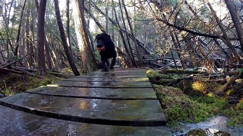 Harlys Favorite Trail Youtube