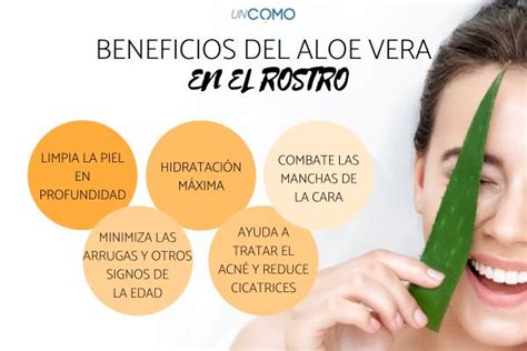 C Mo Aplicar Aloe Vera En La Cara Beneficios Y Trucos