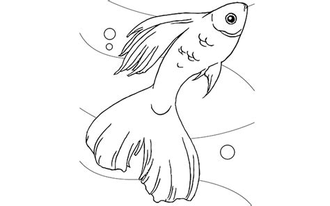 Print & Download - Cute and Educative Fish Coloring Pages
