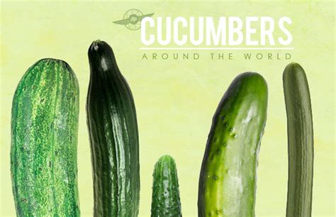 Otps Guide To Big Thick Juicy Cucumbers Around The World Huffpost Life