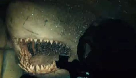 First Clip From Shark Sequel 47 Meters Down Uncaged