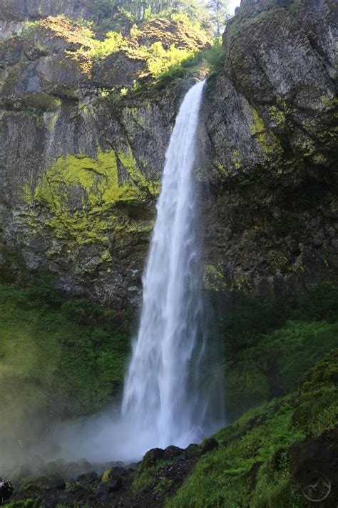 Oregon Cascades Columbia River Gorge June2017 401 Custom Hike Mt Shasta