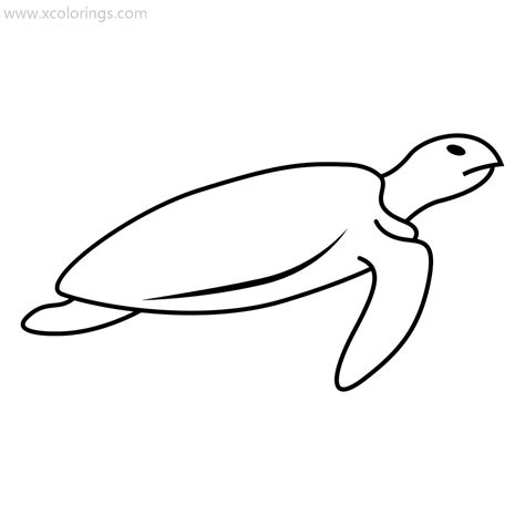 Turtle Coloring Page Sea Ocean Animals