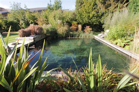 Diy Natural Swimming Pool Examples And Forms