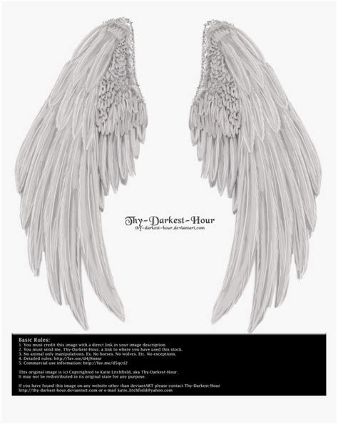 Angel Wings Folded