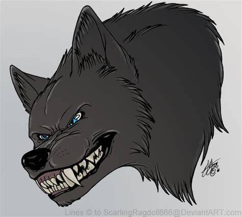 Angry Wolf By Scarlingragdol By Cemetric On Deviantart